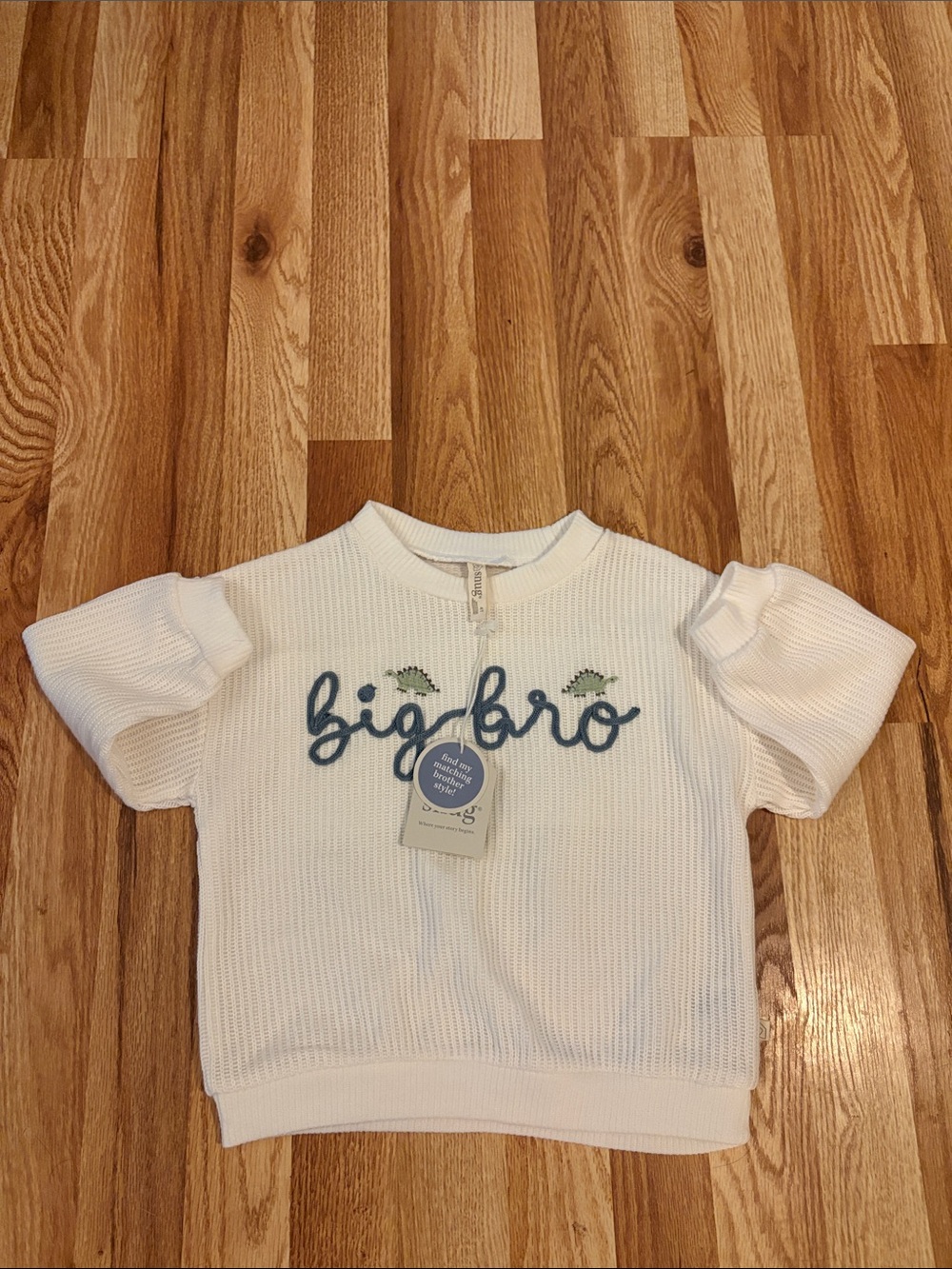Snug Toddler Boy Knit Embroidered White Sweater Dinosaur Big Bro 4T NWT